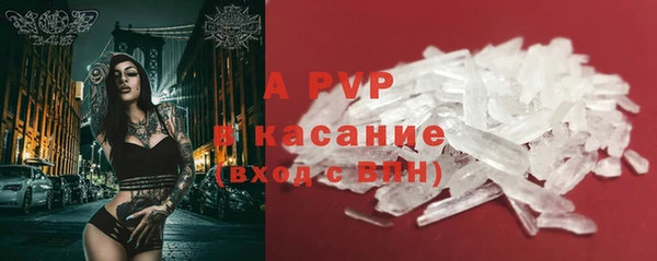молекула духа Белоозёрский