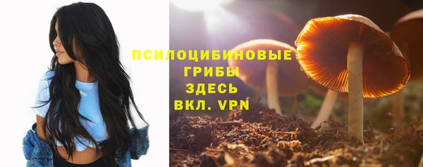 ешки Белокуриха