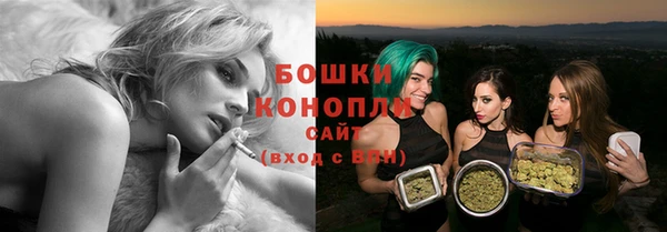 ешки Белокуриха