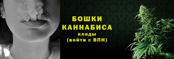 молекула духа Белоозёрский