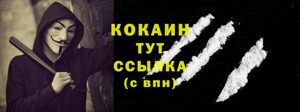 молекула духа Белоозёрский