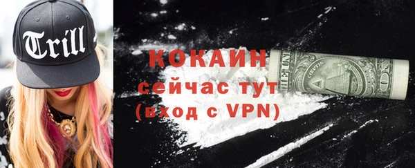 молекула духа Белоозёрский