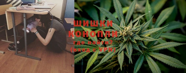 молекула духа Белоозёрский