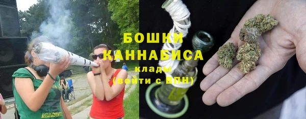 молекула духа Белоозёрский