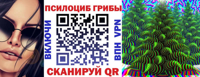 Псилоцибиновые грибы мицелий  Купить  Нязепетровск 
